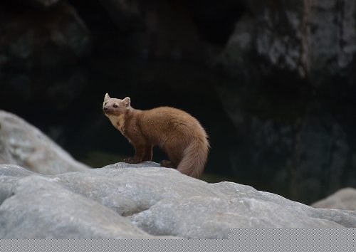 Sa Calobra, Mallorca: Torrentes de Pareis