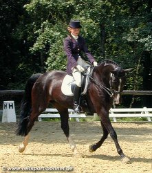 Reiten: Reitturnier (anklicken zum Vergr��ern - click to enlarge)