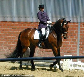 Reiten: Reitturnier (anklicken zum Vergr��ern - click to enlarge)