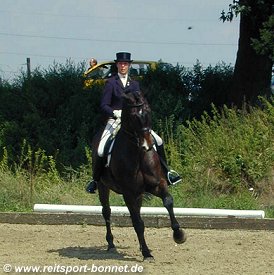 Turnierfotos Reiten: Reitturnier (anklicken zum Vergr��ern - click to enlarge)