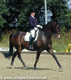 Reiten: Reitturnier (anklicken zum Vergr��ern - click to enlarge)