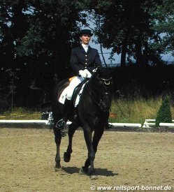 Reiten + Pferde: Reitturnier (anklicken zum Vergr��ern - click to enlarge)