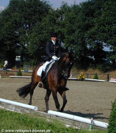 Reiten + Pferde: Reitturnier (anklicken zum Vergr��ern - click to enlarge)