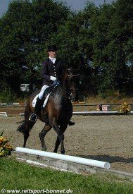 Reiten + Pferde: Reitturnier (anklicken zum Vergr��ern - click to enlarge)