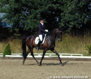 Reiten: Reitturnier (anklicken zum Vergr��ern - click to enlarge)