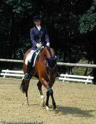 Reiten: Reitturnier (anklicken zum Vergr��ern - click to enlarge)