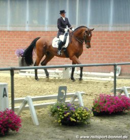 Reiten: Reitturnier (anklicken zum Vergr��ern - click to enlarge)